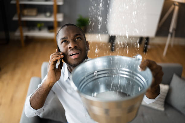 Best Carpet water damage restoration  in Pomona, KS
