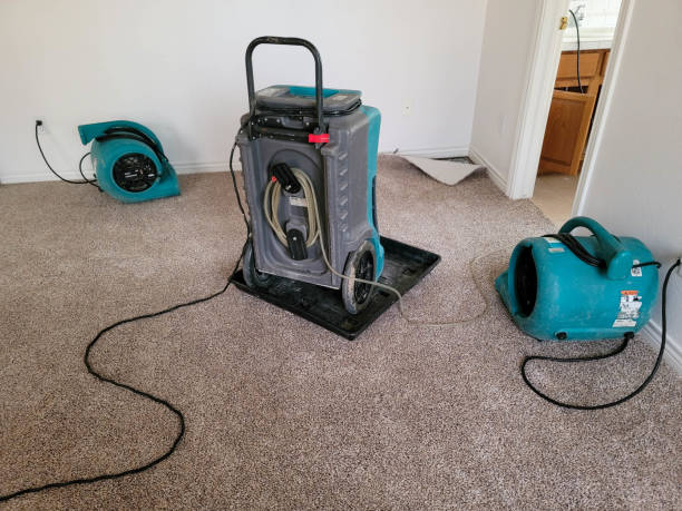 Best Flood restoration services  in Pomona, KS