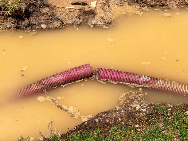 Best 24-hour water damage restoration  in Pomona, KS